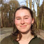 aide au devoirs, soutien scolaire et/ou cours particuliers d'anglais ou de français chez les enfants étudiant en primaire ou lycée